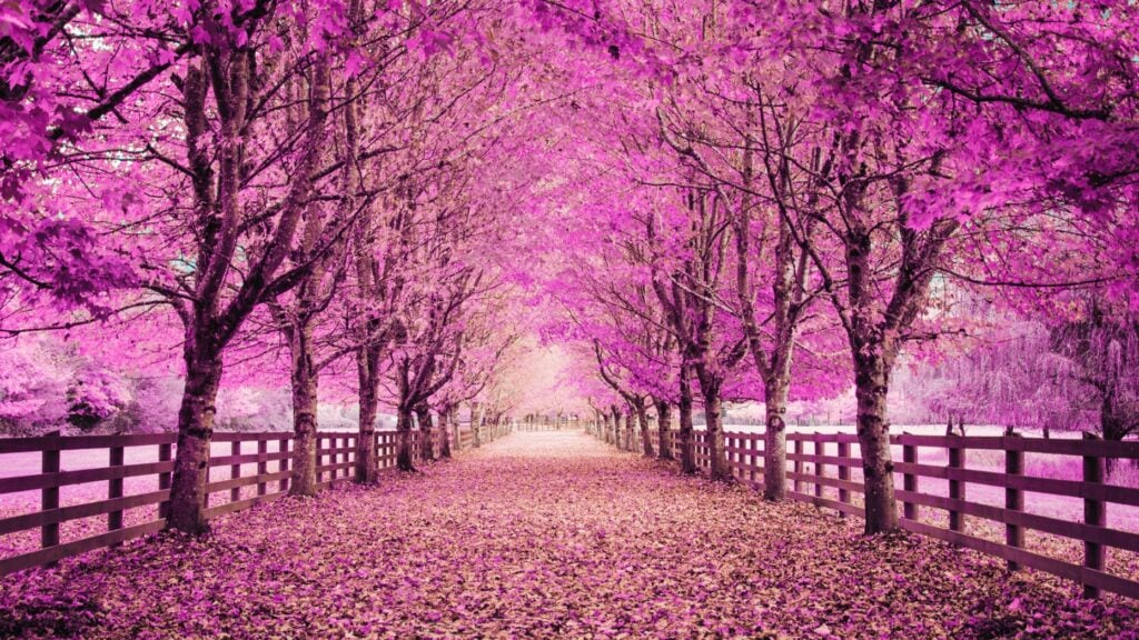 Is fall the new spring? Market winds may be shifting, NAR says